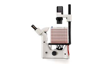 倒置顯微鏡DMiL LED